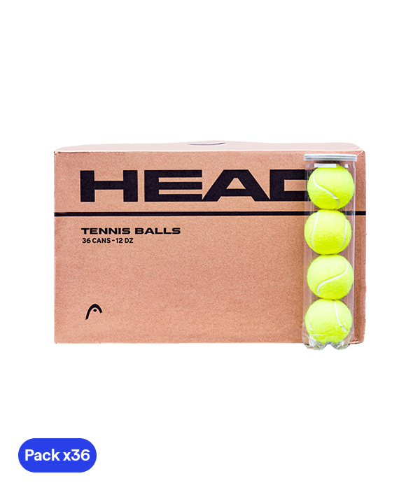 Cajón Pelotas HEAD Cs (Pack x36)