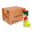 Cajón Pelotas Starvie Padel Master (Pack x24)