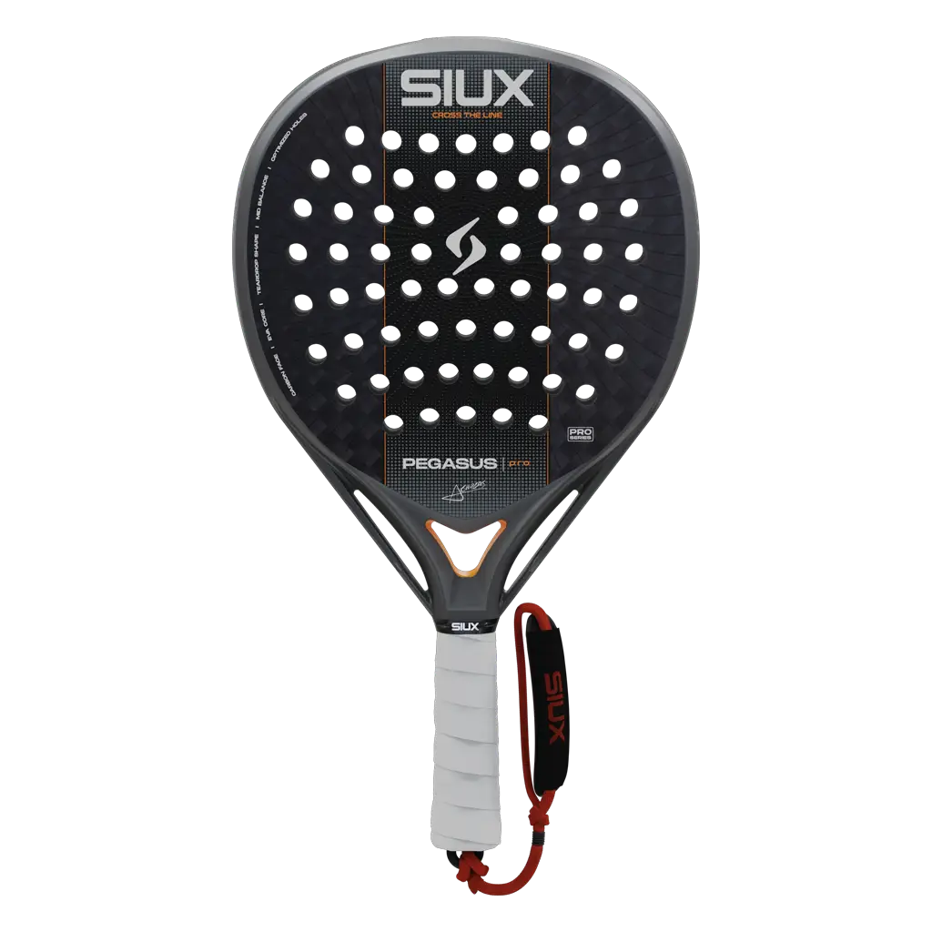 Padel Schläger Siux Pegasus Pro Silver 2027
