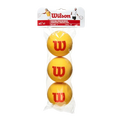 Pelotas Wilson Tour Foam Tenis (Pack x3)