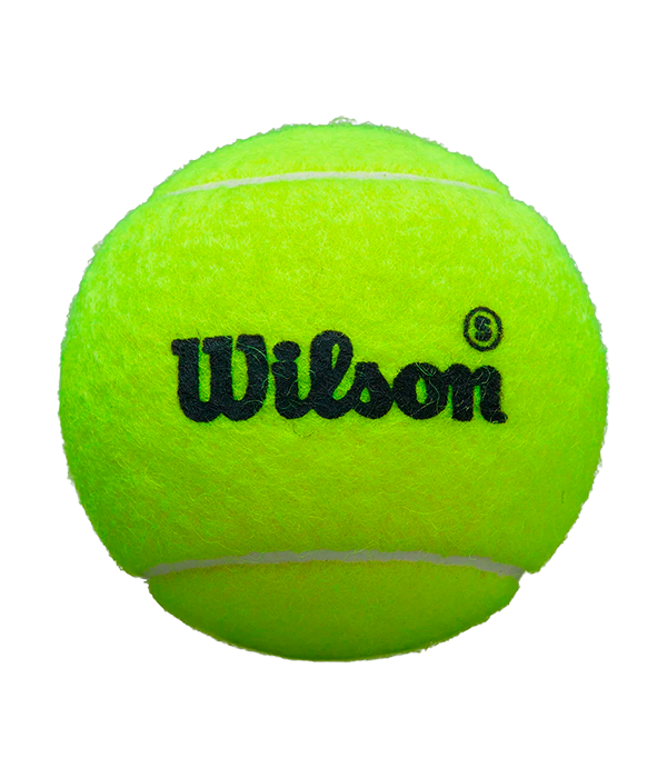 Cajón Pelotas Wilson Padel Premier Speed (Pack x24)