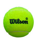 Cajón Pelotas Wilson Padel Premier Speed (Pack x24)