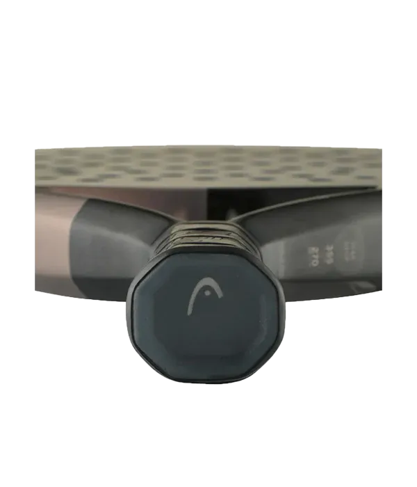 Pala de TEST HEAD Speed Motion 2025