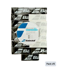 Schlägerschutz Babolat (x15)
