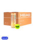 Cajón Pelotas HEAD Tour (Pack x24)