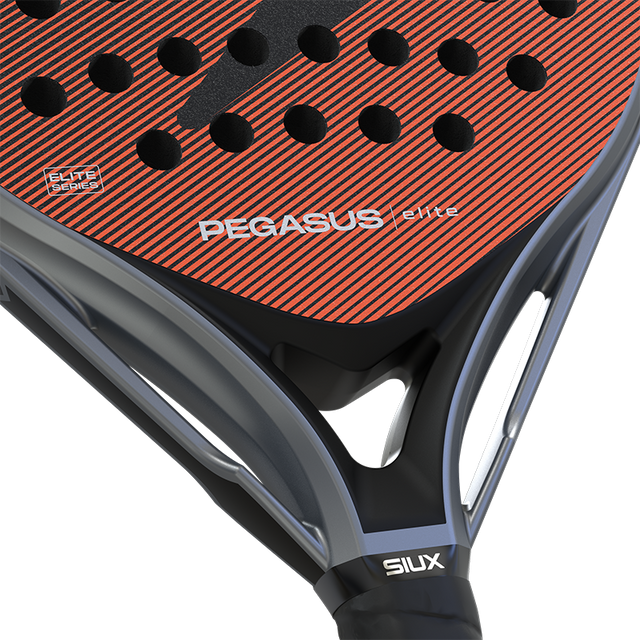 Racket Siux Pegasus Elite 4 2026