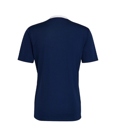 Adidas Entry 22 Navy Blue T-shirt 2024