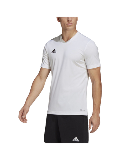 Adidas Entry 22 White 2024 T-shirt