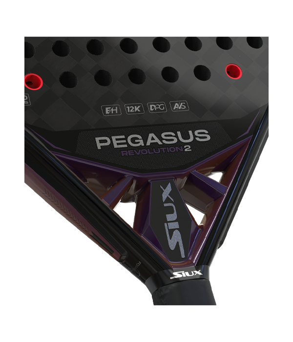 Siux Pegasus Revolution 2 2024 