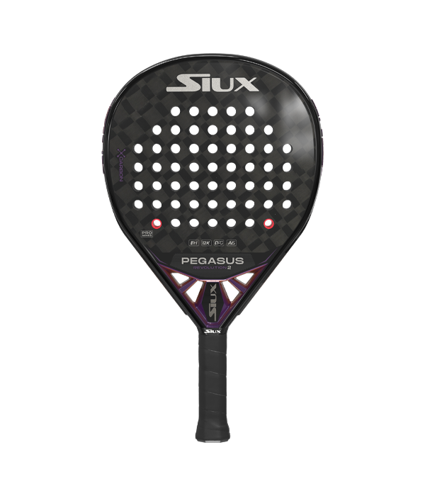 Siux Pegasus Revolution 2 2024 